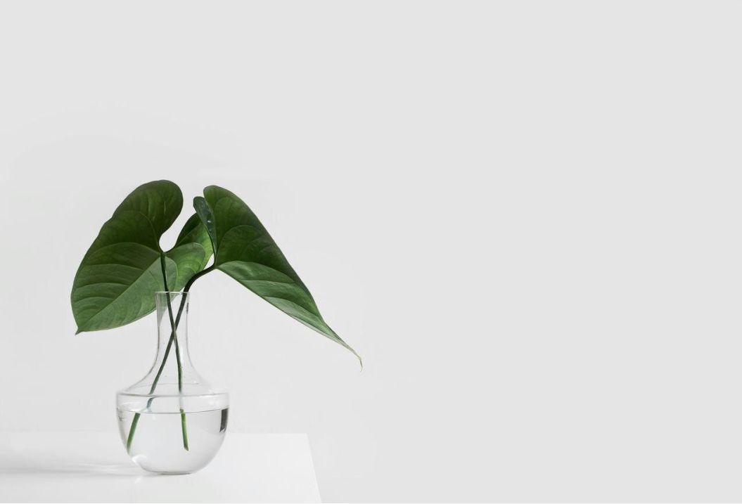 Web en UX ontwerp